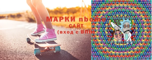 сатива Бородино