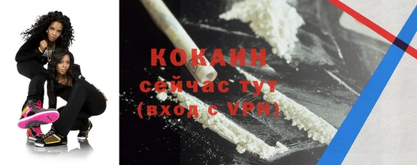 сатива Бородино