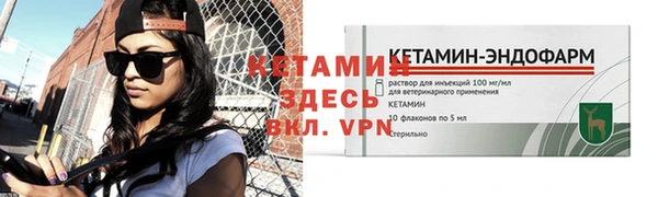 сатива Бородино