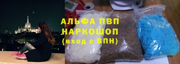 сатива Бородино