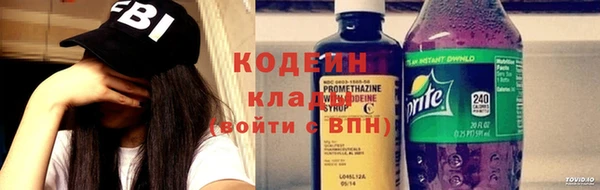 сатива Бородино