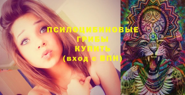 дурь Бугульма