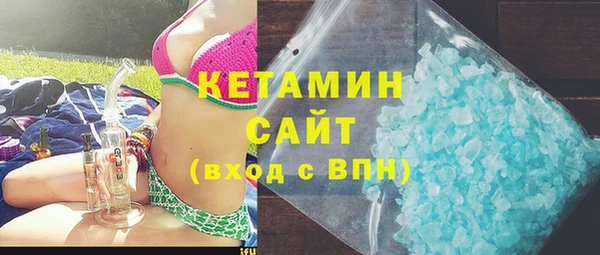 сатива Бородино