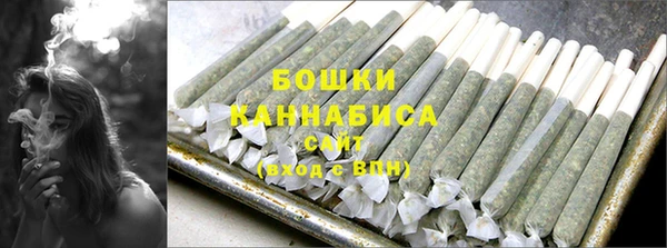 сатива Бородино