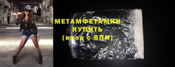 сатива Бородино