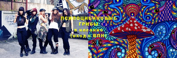 дурь Бугульма
