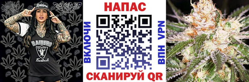 Шишки марихуана марихуана наркота Дербент